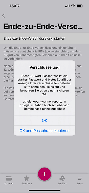 Screenshot aus der MagentaCloud Anwendung: Einrichtung von Verschlüsselung auf iOS Teil 2.
