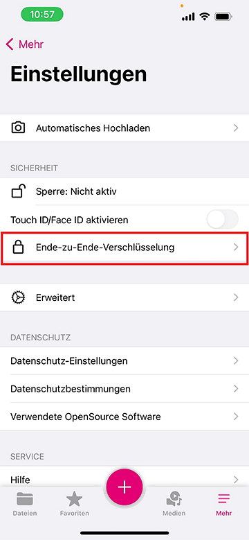 Screenshot aus der MagentaCloud Anwendung: Verschlüsselung des Web-Settings.