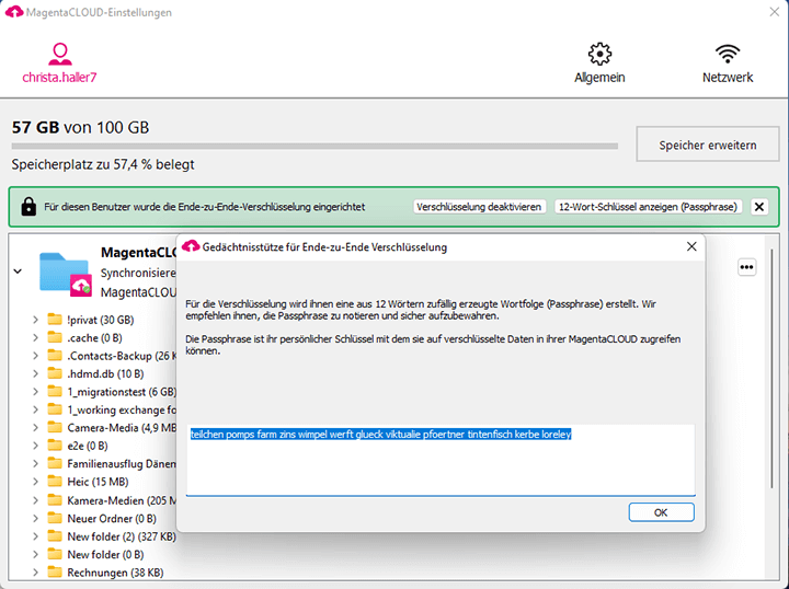 Screenshot aus der MagentaCloud Anwendung: Windows Gedächtnisstütze.
